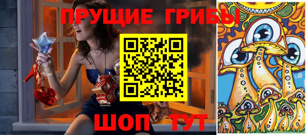 Нальчик  Галлюциногенные грибы GOLDEN TEACHER  Вход с VPN 