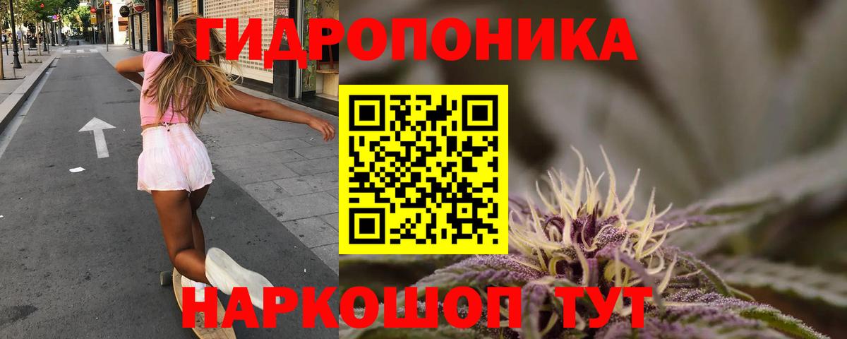 Каннабис гибрид Нальчик